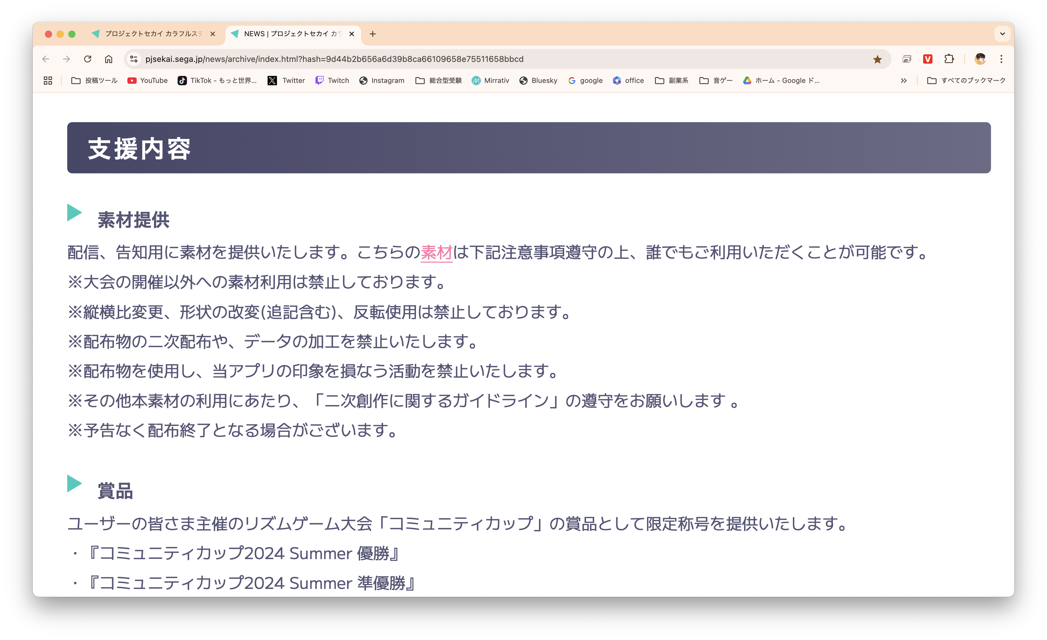 公式支援プログラム概要